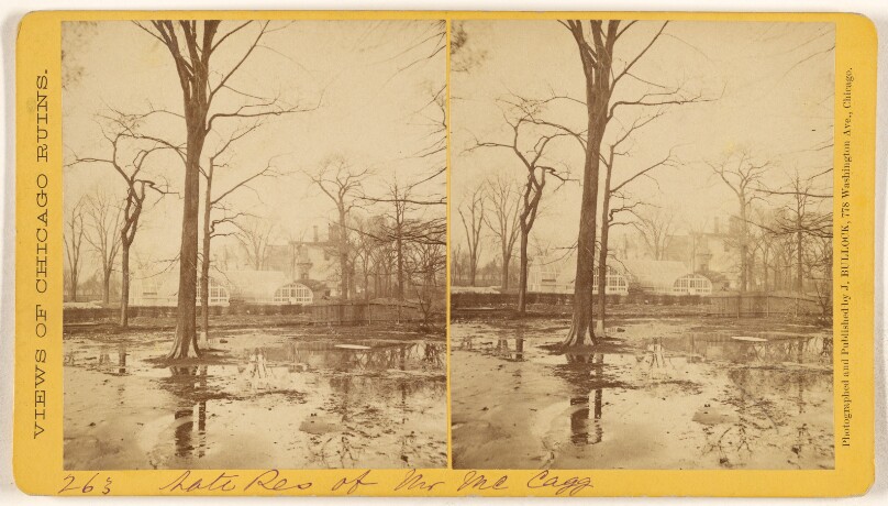 [Late Residence of Mr. Mc Cagg, Ruins of the Chicago Fire, 1871]