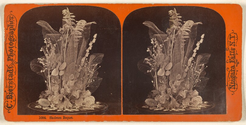Skeleton Bouquet.