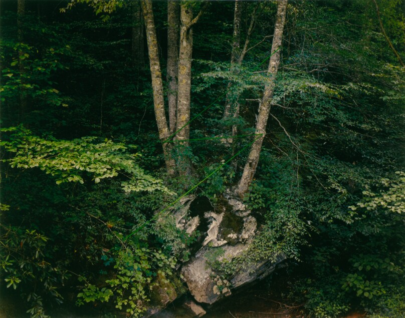 Snow Creek Lightning Wing, North Carolina