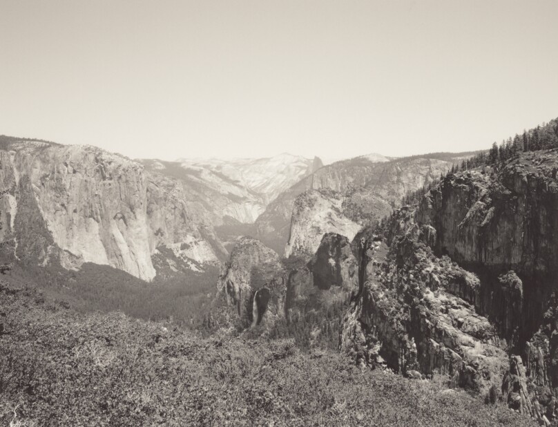 Yosemite Valley off the old Mariposa Trail, now overgrown with dense manzanita brush