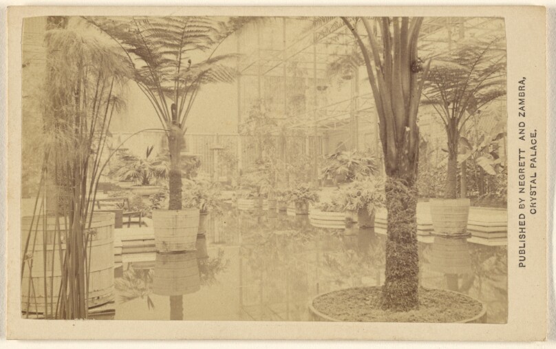 Trophies [plant growths, interior at Crystal Palace]