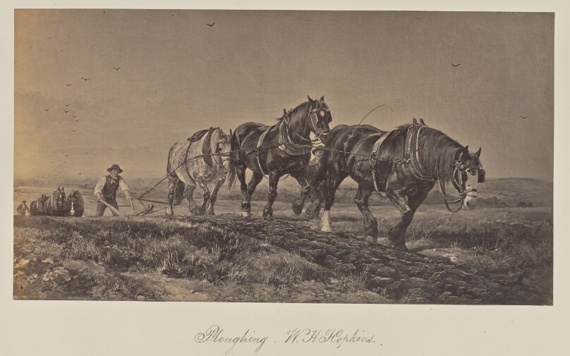 Ploughing. W. H. Hopkins.