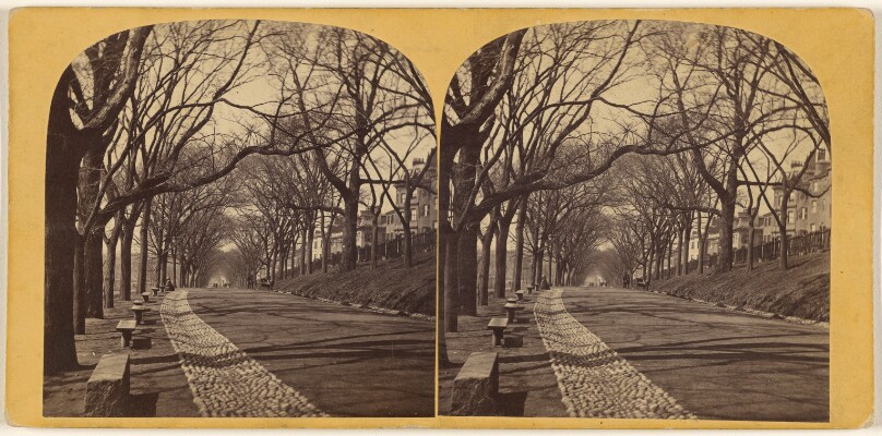 [View of tree-lined street with rock gutter]