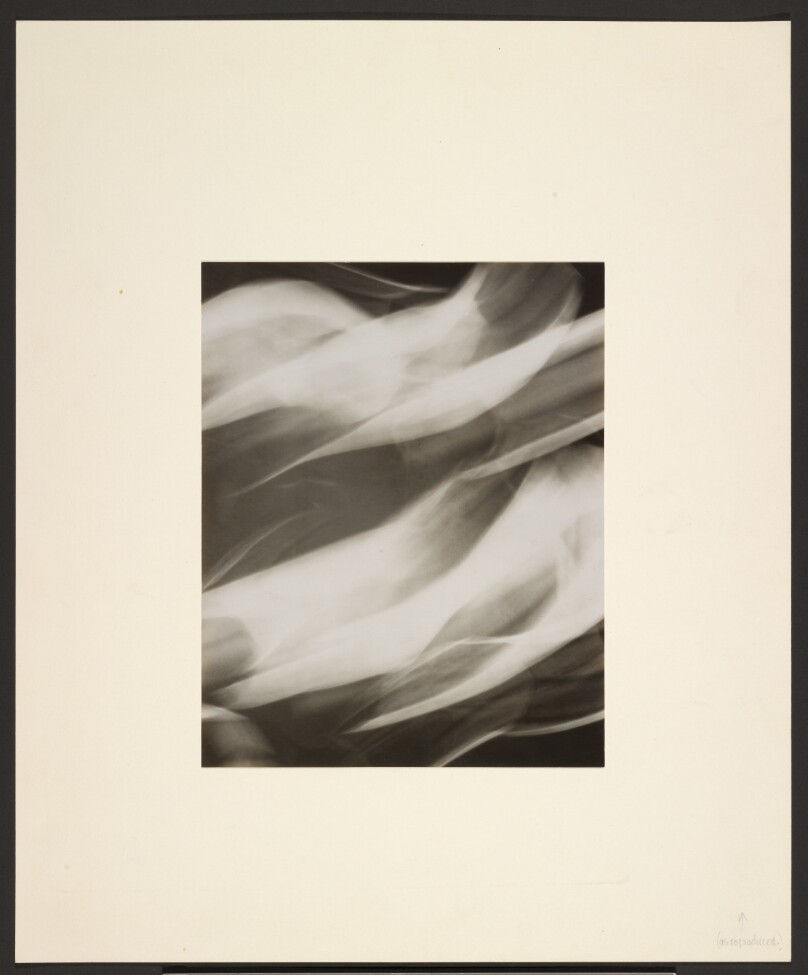 [Light Abstraction]