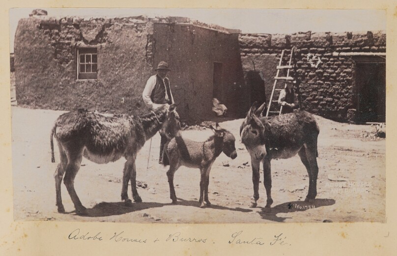Adobe Houses and Burros