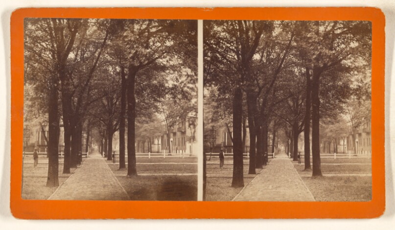 Bull Street, from Madison Square.