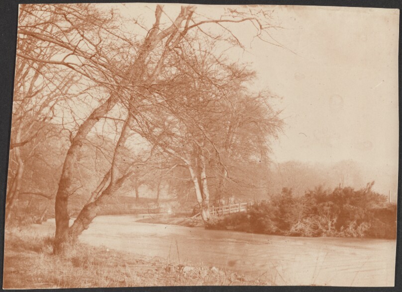 [Landscape with Trees]