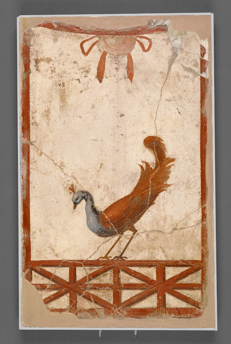 Wall Fragment with a Peacock