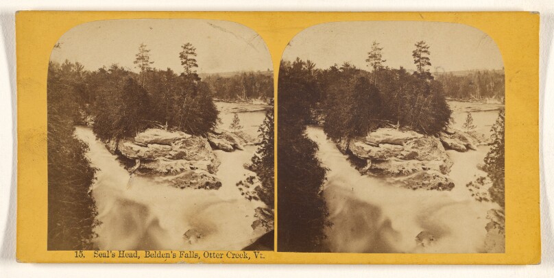 Seal's Head, Belden's Falls, Otter Creek, Vt.