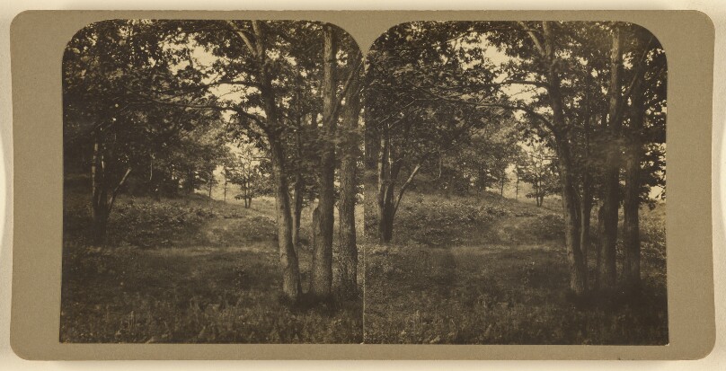 [Newton Highlands Aqueduct]