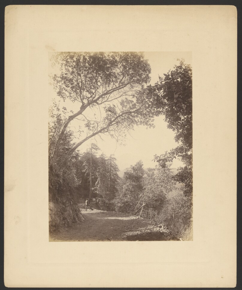 [Man on forest trail]