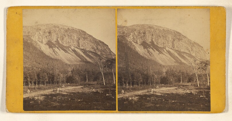 Mt. Cannon. [White Mountain]