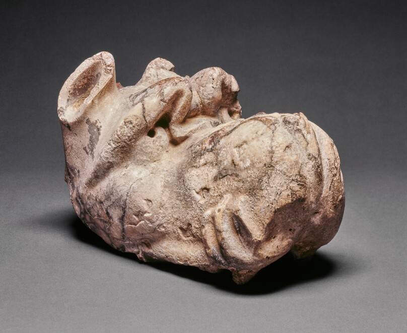 Head of a Sea Monster