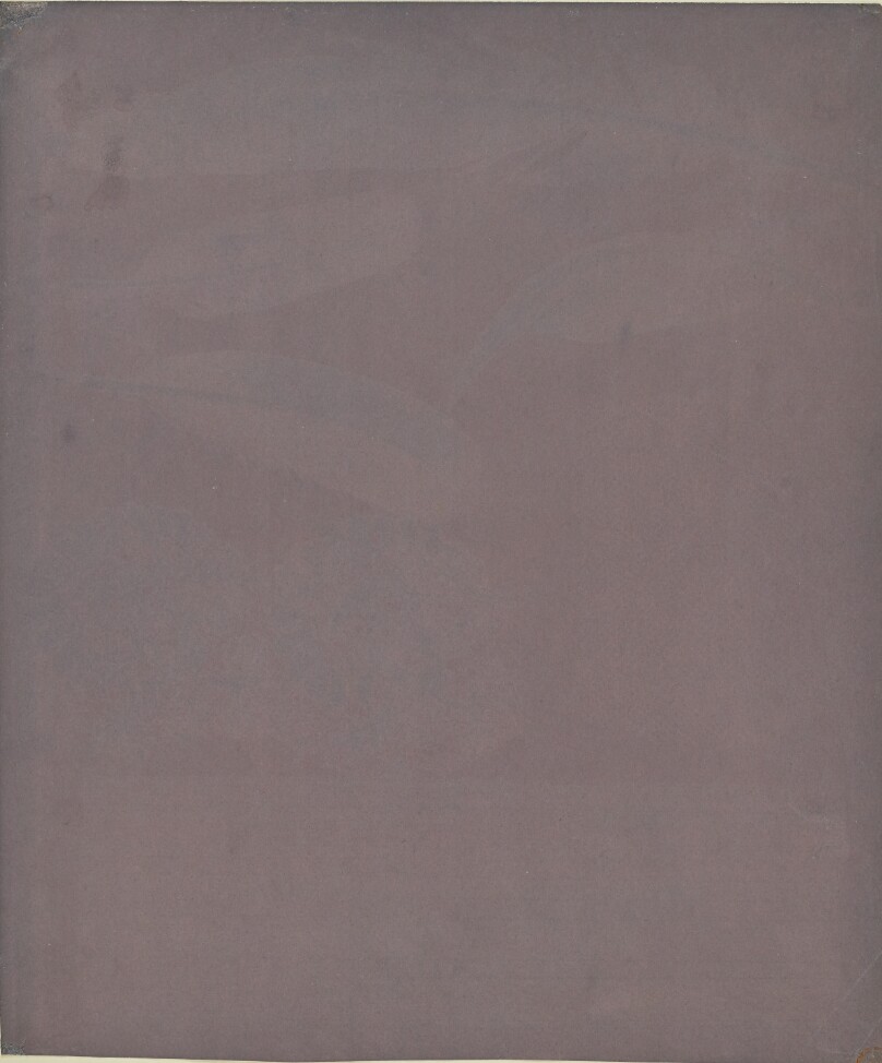 [Arrangement of Feathers and Lace]
