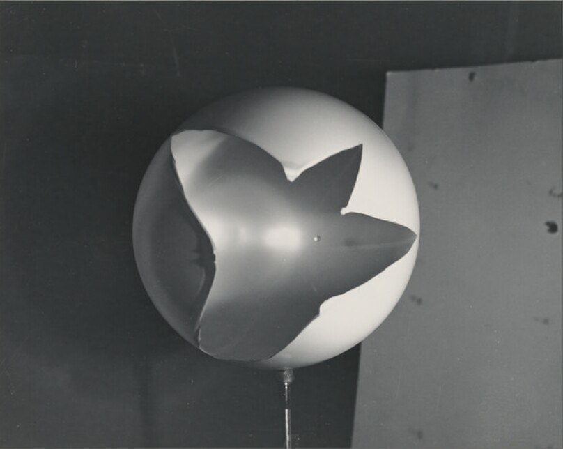 Rubber Balloon Broken by a Bullet