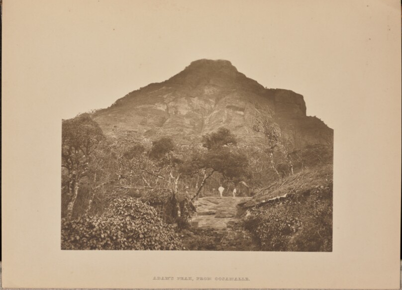 [Adam's Peak, at Oosamalle]