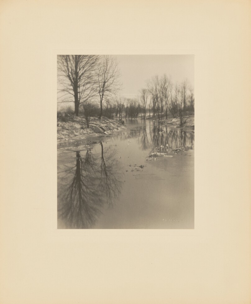Winter Reflections