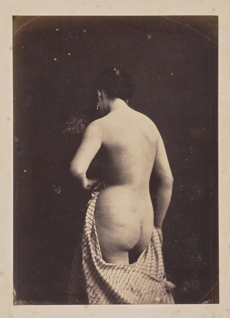 [Portrait of a woman, nude]