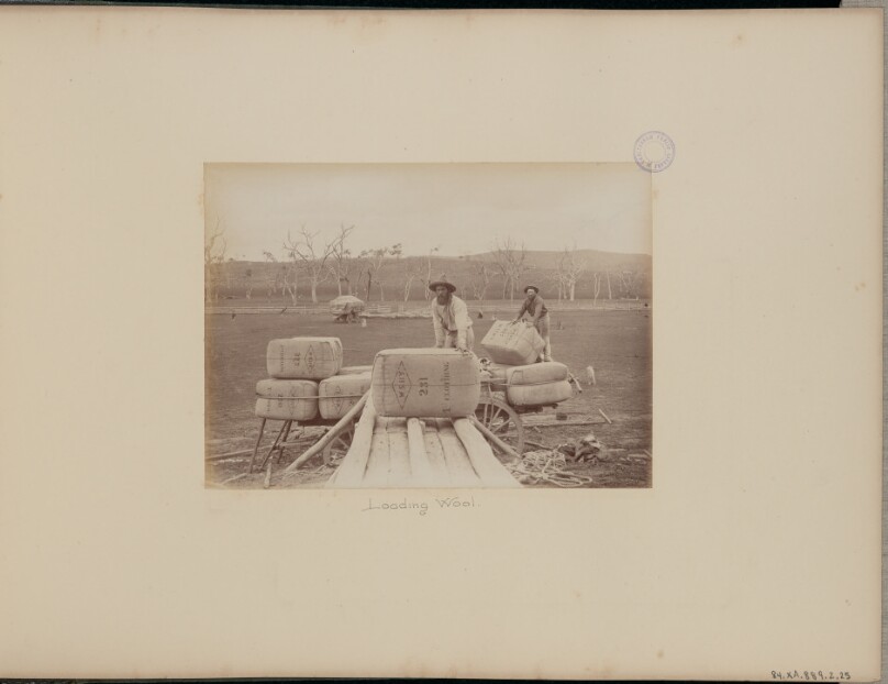 Loading Wool