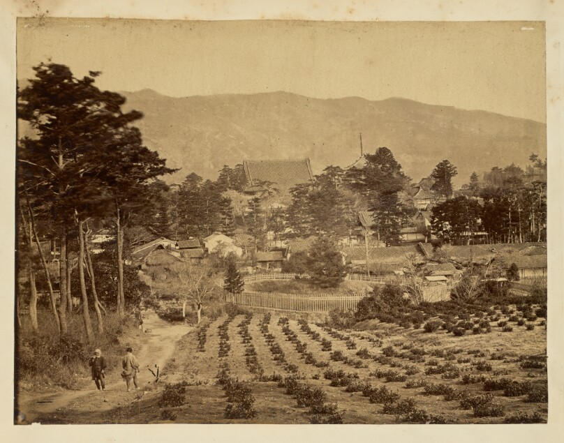 [Pedestrians passing on a dirt road]