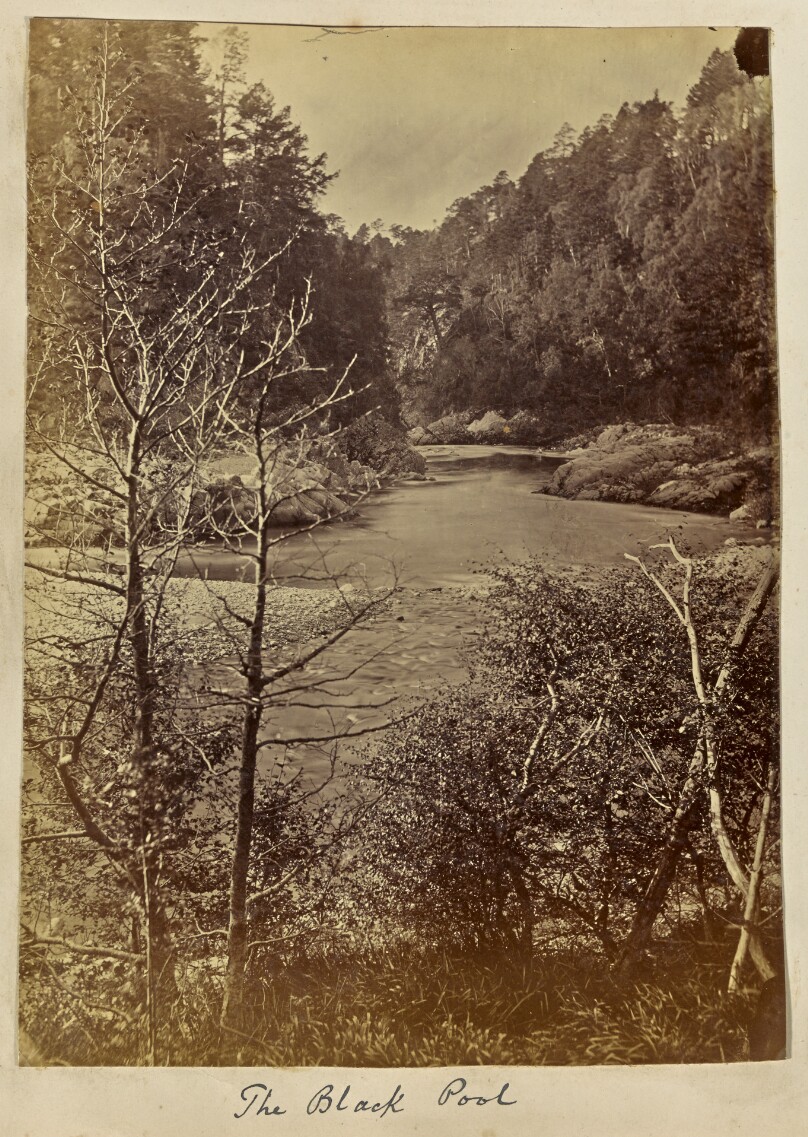 The Black Pool