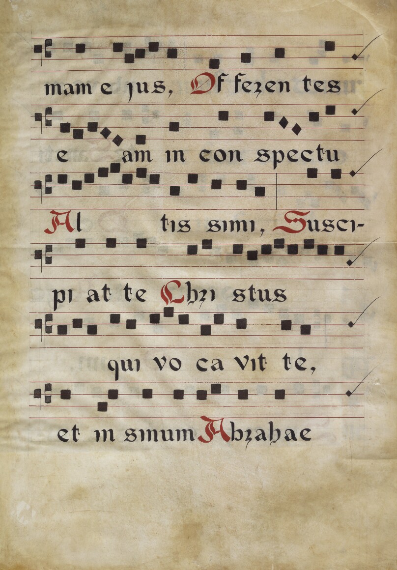 Music Text