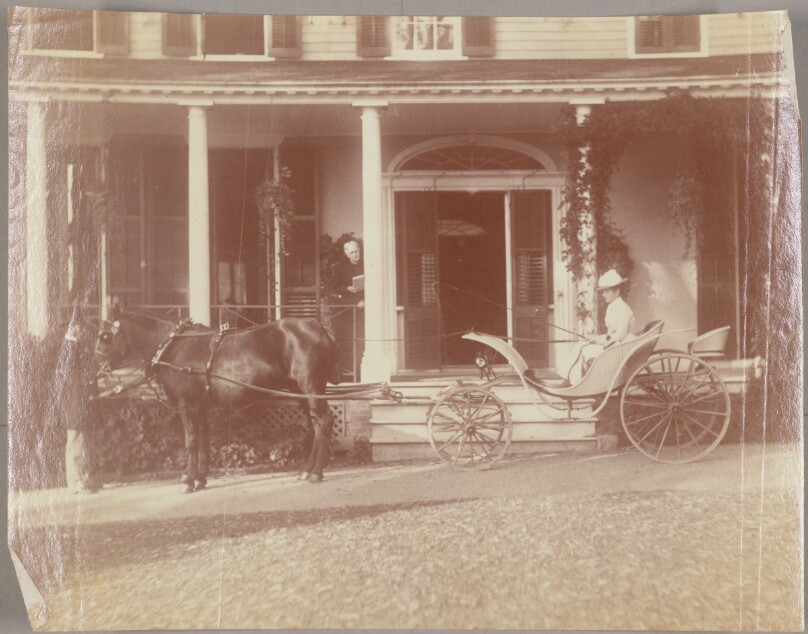 [Woman in horse-drawn carriage]