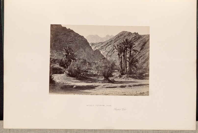 Wadee Feyran Sinai, Second View