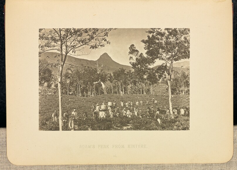 Adam's Peak, from Kintyre
