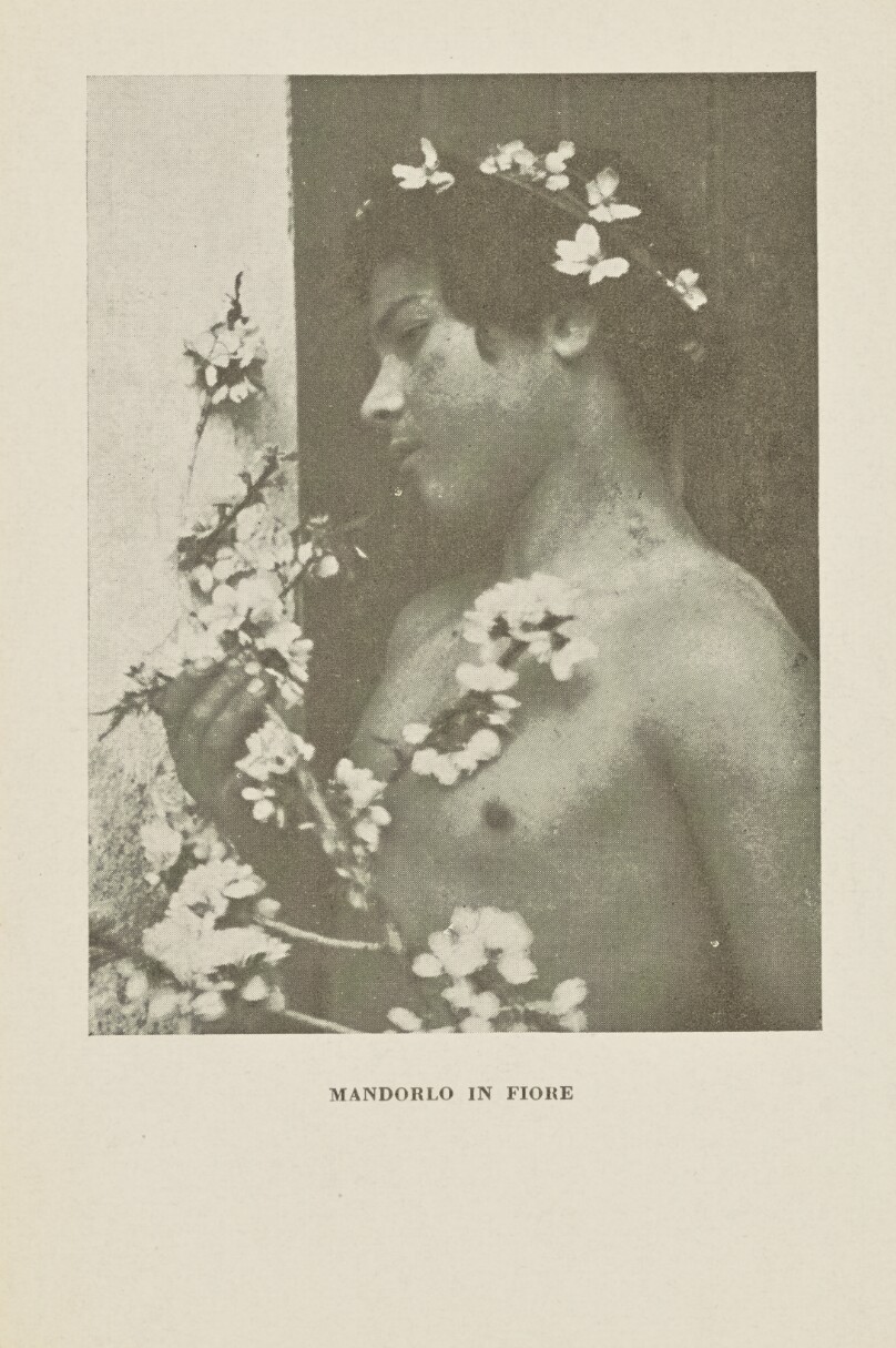 Mandorlo in Fiore