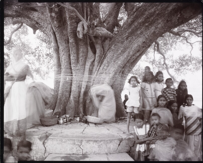 [Women Entwining a Tree with Sacred Thread]