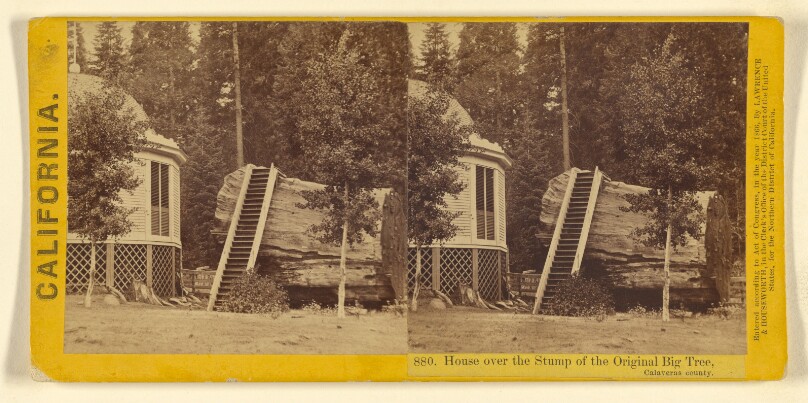House over the Stump of the Original Big Tree, Calaveras county.
