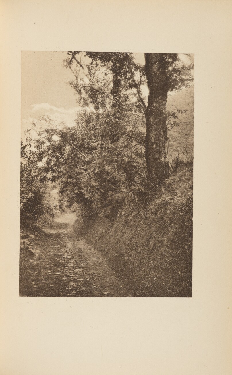 Footpath up the Doone Valley