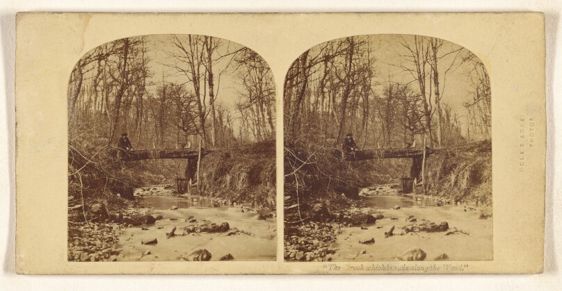 "The Brook which brawls along the Wood."