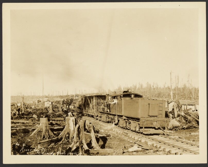[Logging/ Timber Scene]