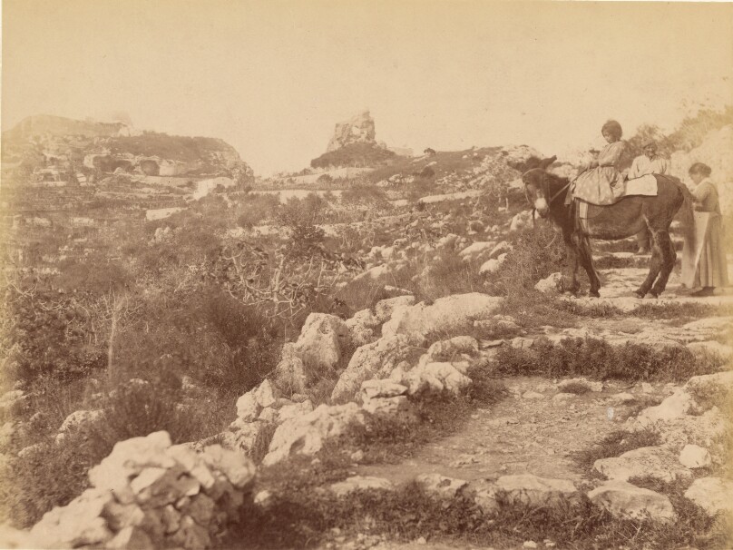 Capri [child on mule]