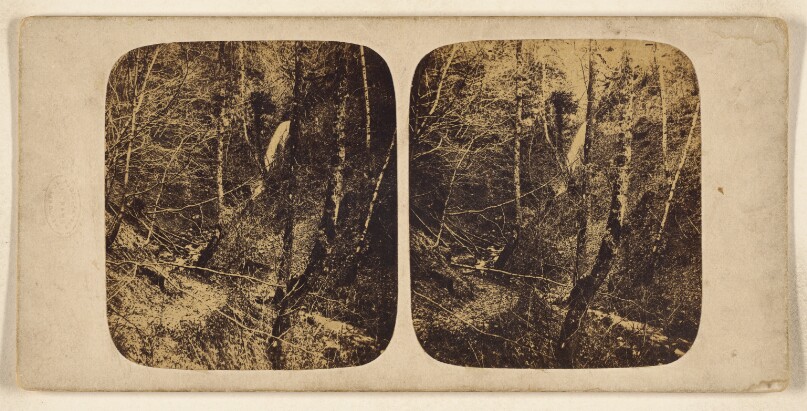 View in the Grounds at Craighall, Near Blairgowrie, Perthshire, No.1.