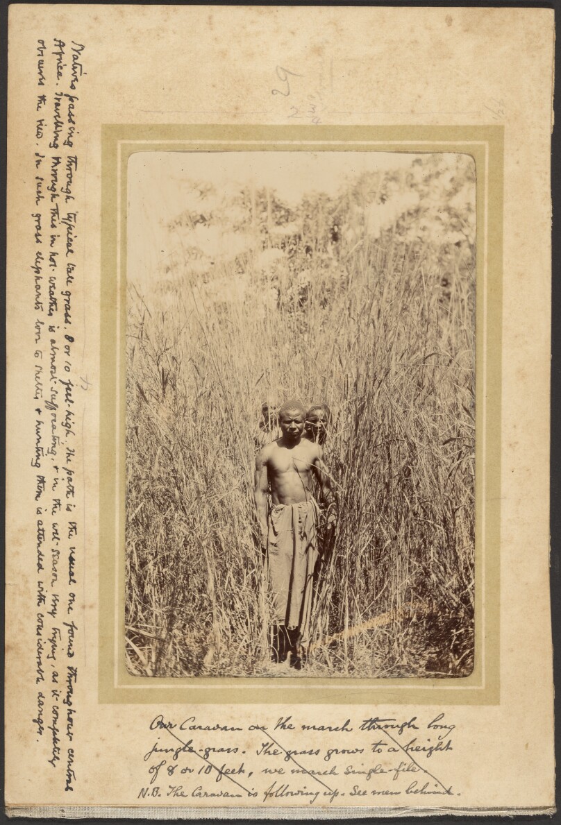An African Path through High Grass