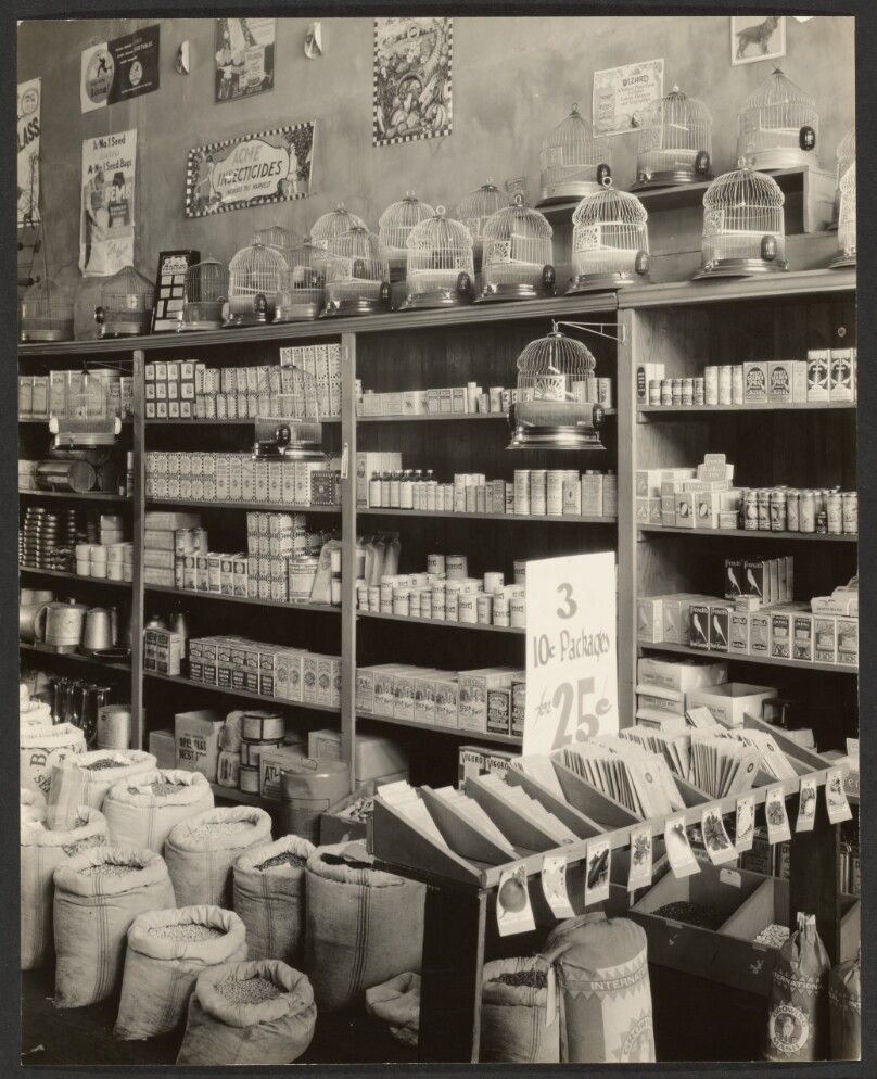 Seed Store, Interior, Vicksburg, Mississippi