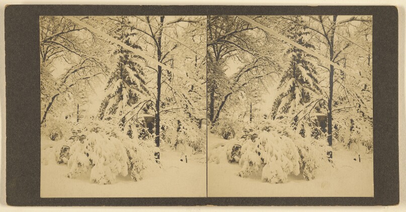 [Chestnut Avenue. Jamaica Plains.]