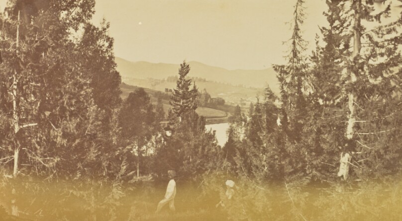 [Landscape View from a Hill]