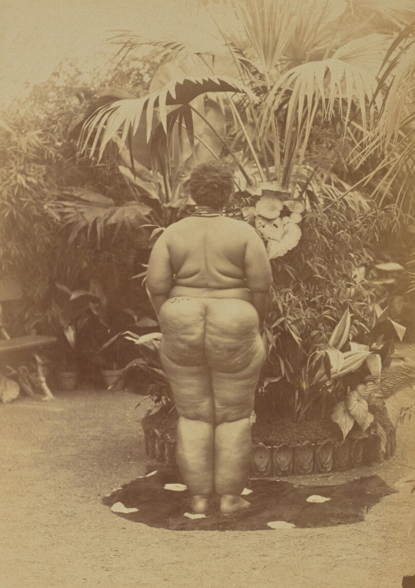 [South African Woman, Nude]