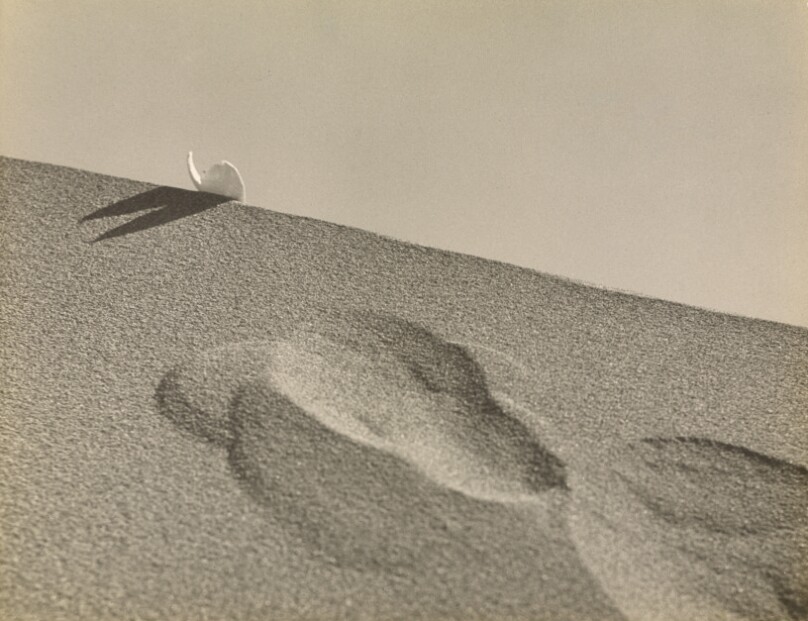 (Untitled) [Footprint in sand]