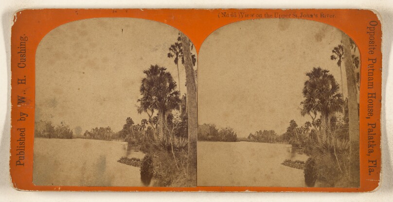 View on the Upper St. John's River. [Florida]