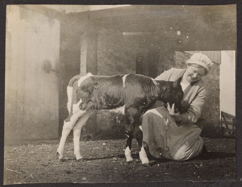 [Woman with a calf]