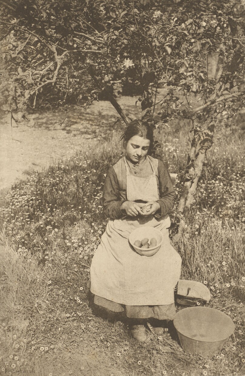 A Spring Idyl