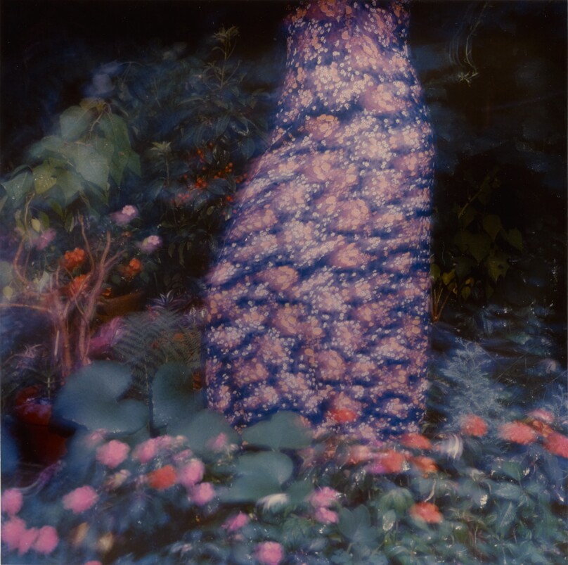 William Larson