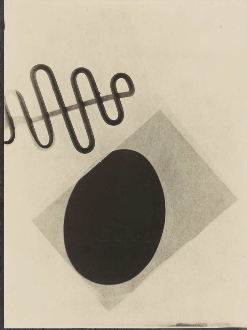 Fotogramm (Photogram)