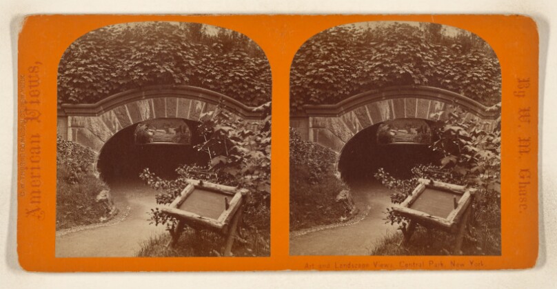 [Artists Ridge, Central Park, New York City]