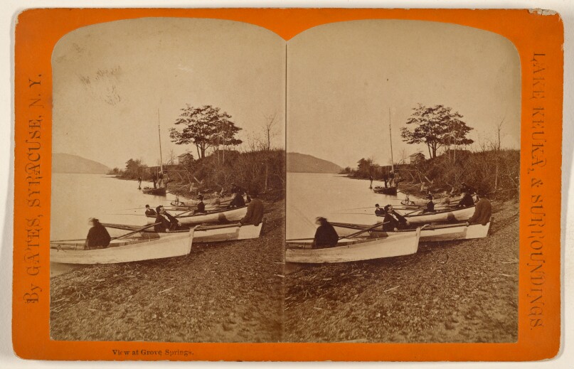 View at Grove Springs.